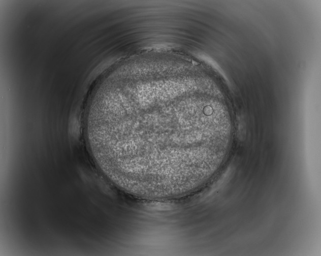 X0000089710874200707121411