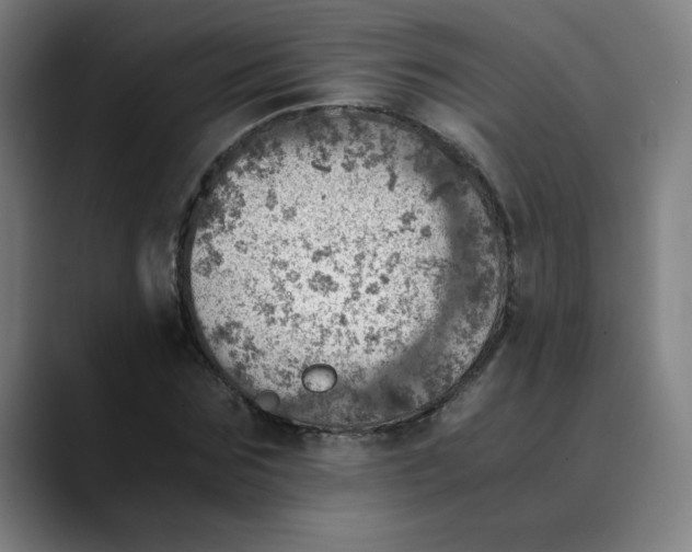 X0000089710875200707121411