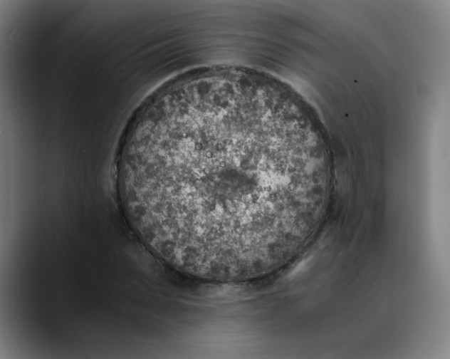 X0000089710879200707121411