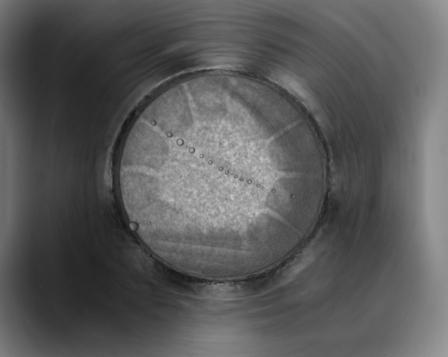 X0000089710883200707121411