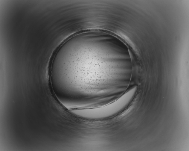 X0000089710885200707121411