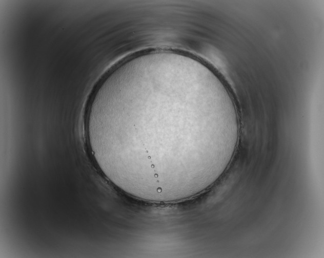 X0000089710887200707121411