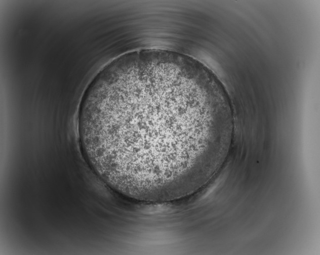 X0000089710891200707121411