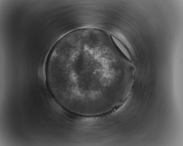 X0000089710892200707121411