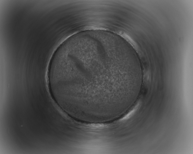 X0000089710893200707121411