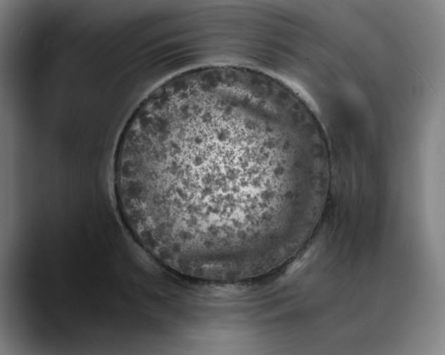 X0000089710895200707121411