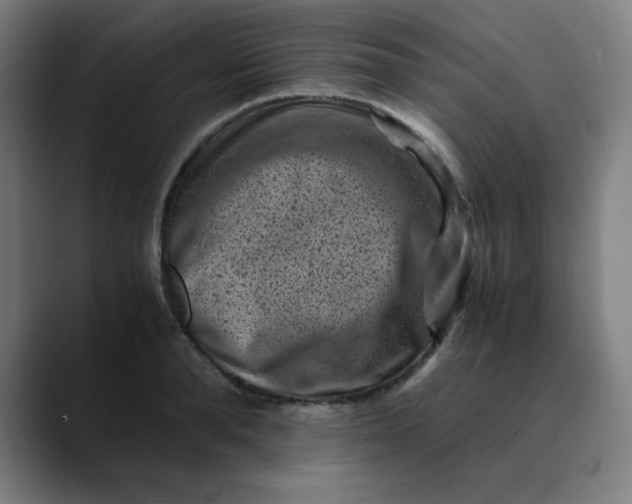 X0000089710896200707121411