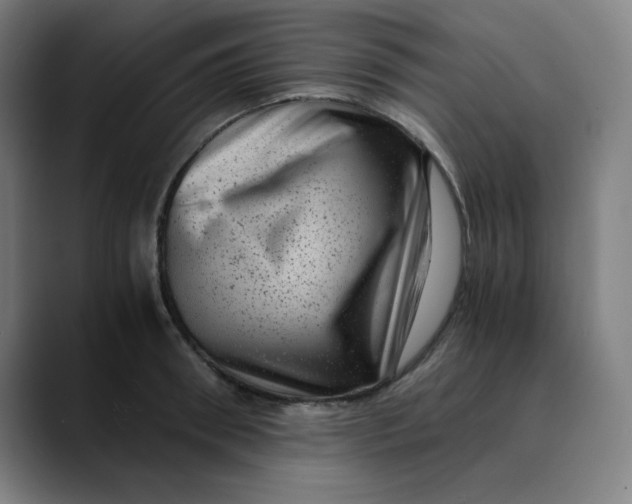 X0000089710898200707121411