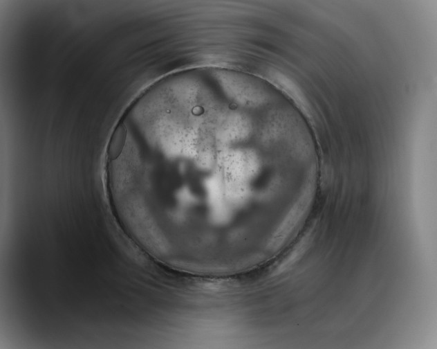 X0000089710899200707121410