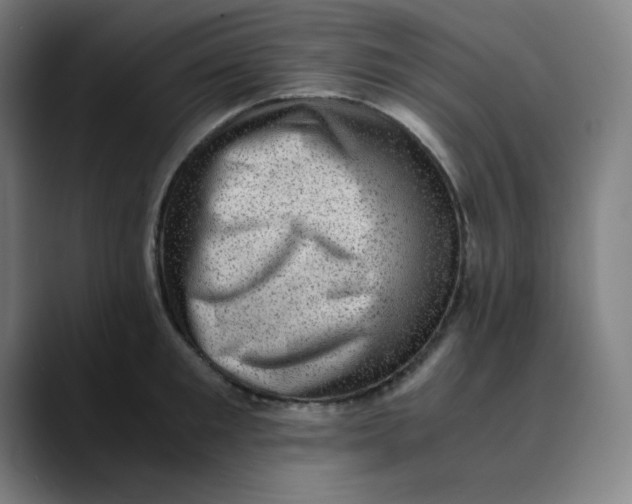 X0000089710901200707121410