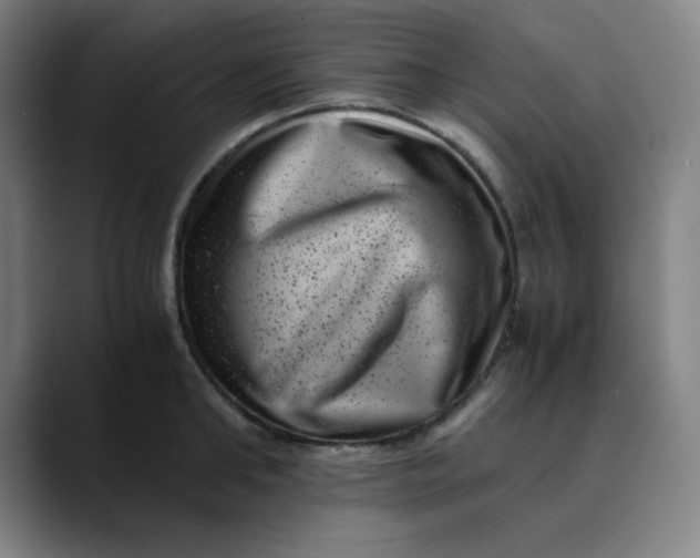 X0000089710902200707121410