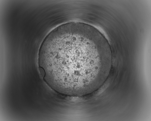 X0000089710903200707121410