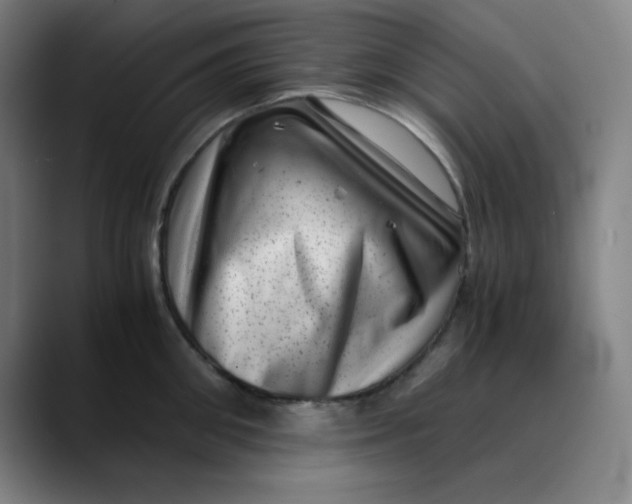 X0000089710906200707121410