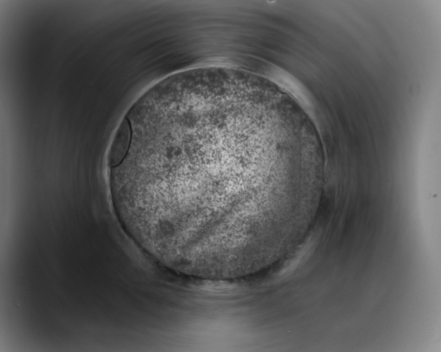 X0000089710907200707121410