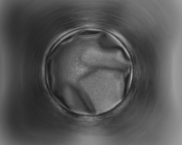 X0000089710910200707121410