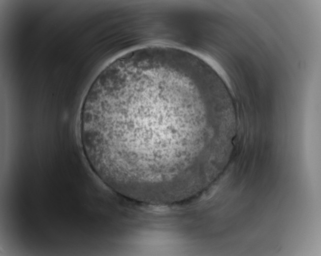 X0000089710911200707121410