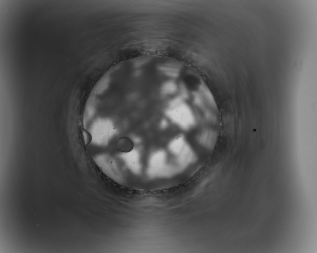 X0000089710913200707121410