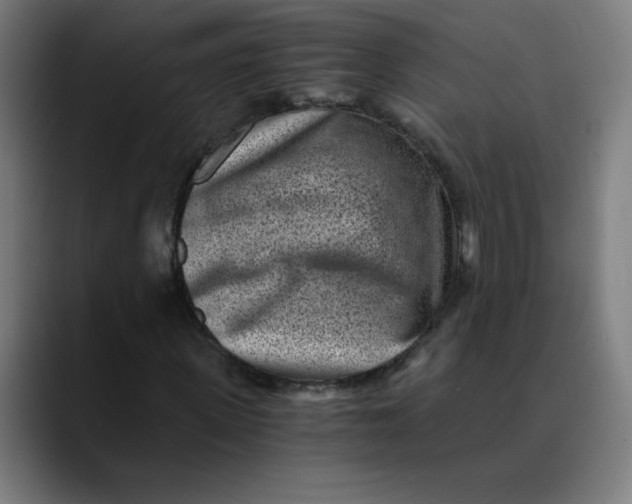 X0000089710915200707121410