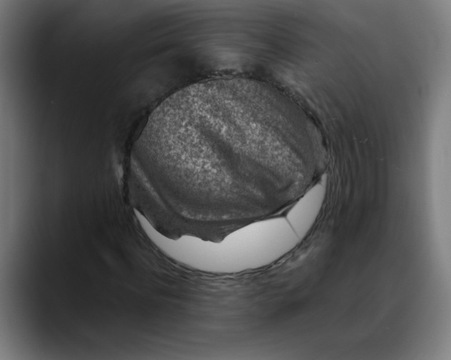 X0000089710916200707121410