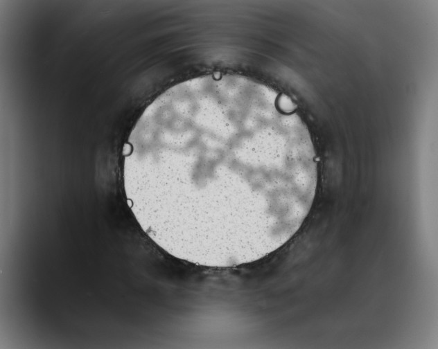 X0000089710918200707121410