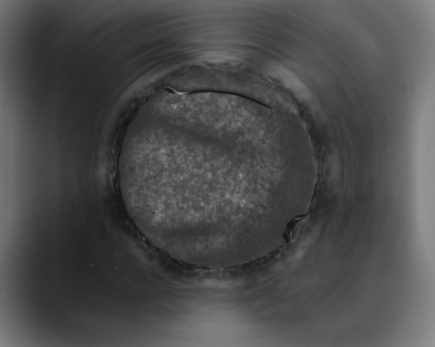 X0000089710920200707121410