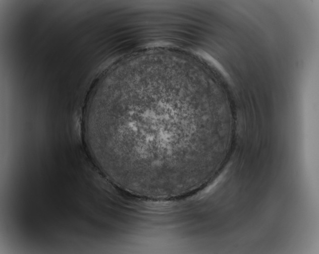 X0000089710921200707121410