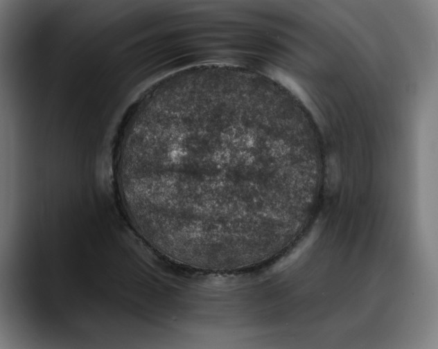 X0000089710923200707121410