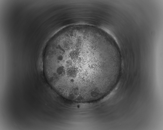 X0000089710925200707121410