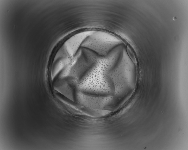 X0000089710928200707121410