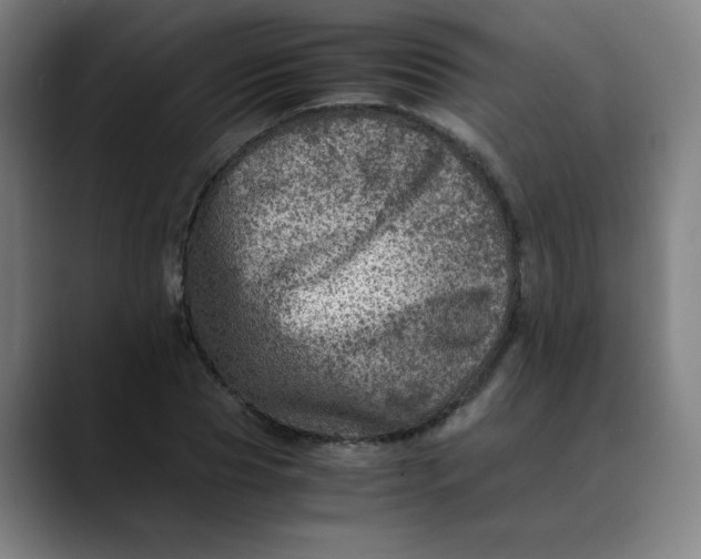 X0000089710929200707121410