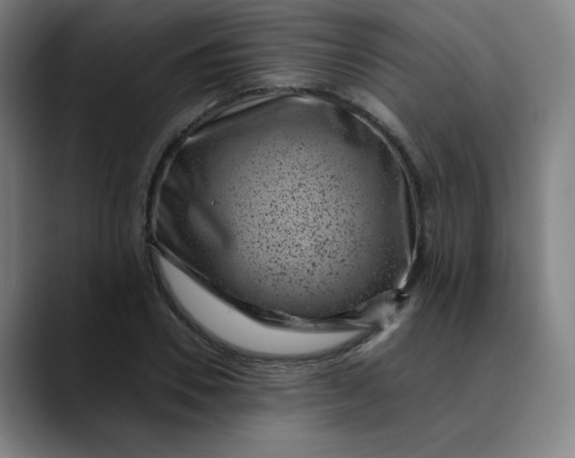 X0000089710930200707121410