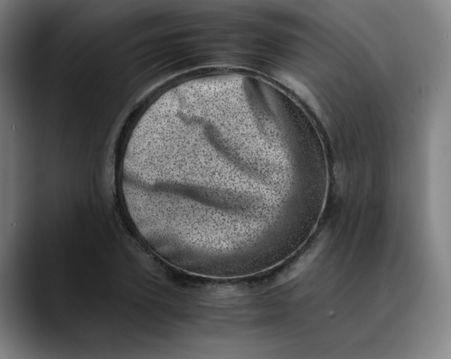 X0000089710931200707121410