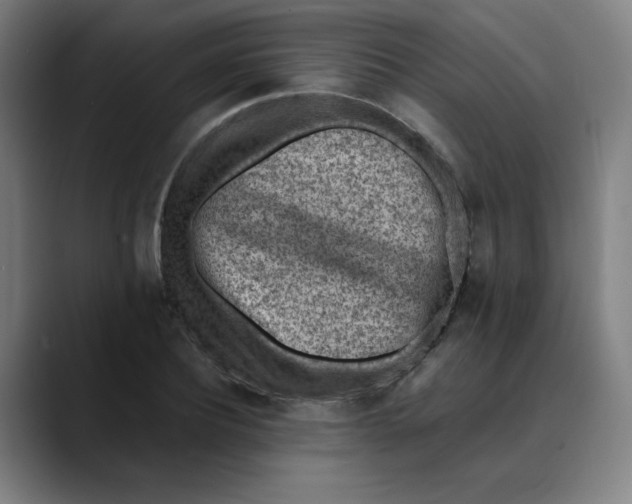 X0000089710932200707121410