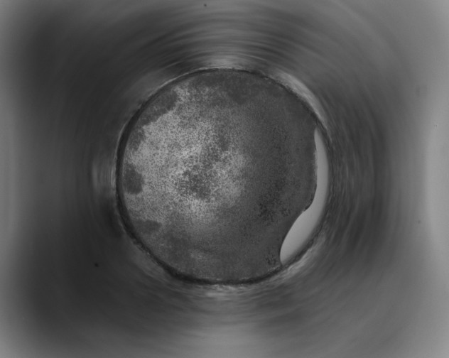 X0000089710938200707121410