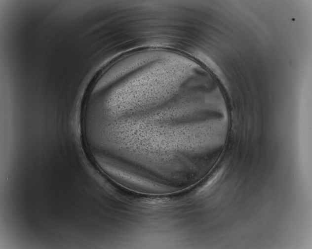 X0000089710939200707121410