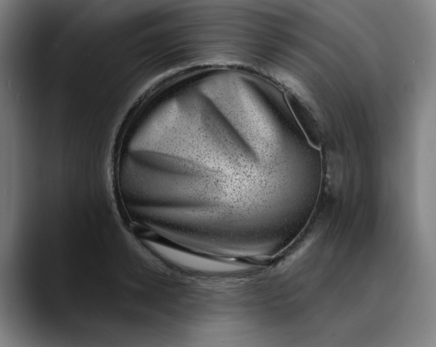 X0000089710942200707121410