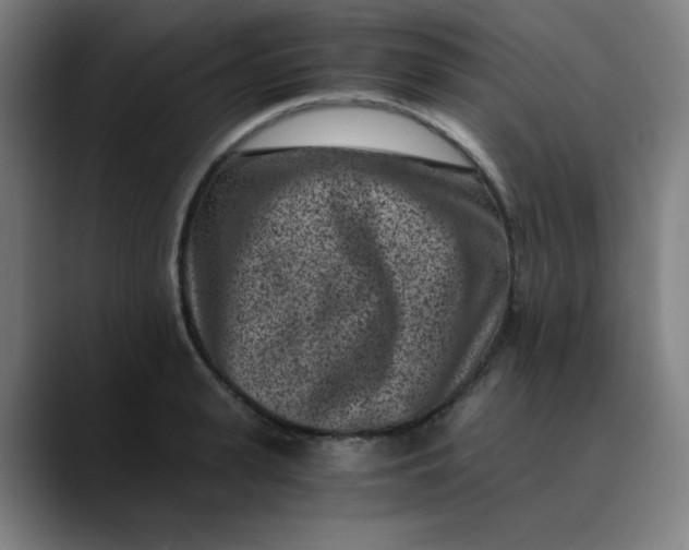 X0000089710943200707121410