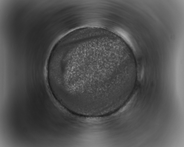 X0000089710944200707121410