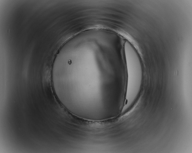 X0000089710945200707121410