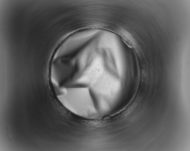 X0000089710948200707121410