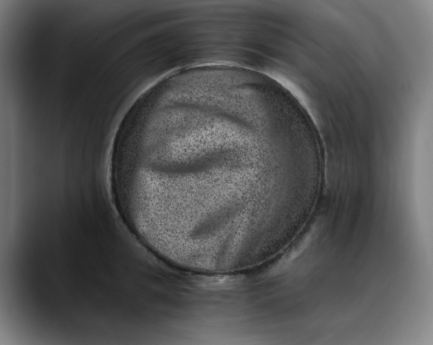 X0000089710949200707121410