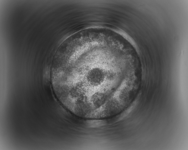 X0000089710953200707121410