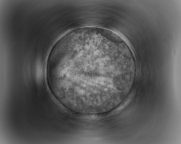 X0000089710957200707121410