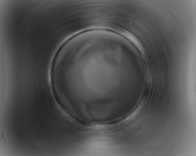 X0000089710958200707121410