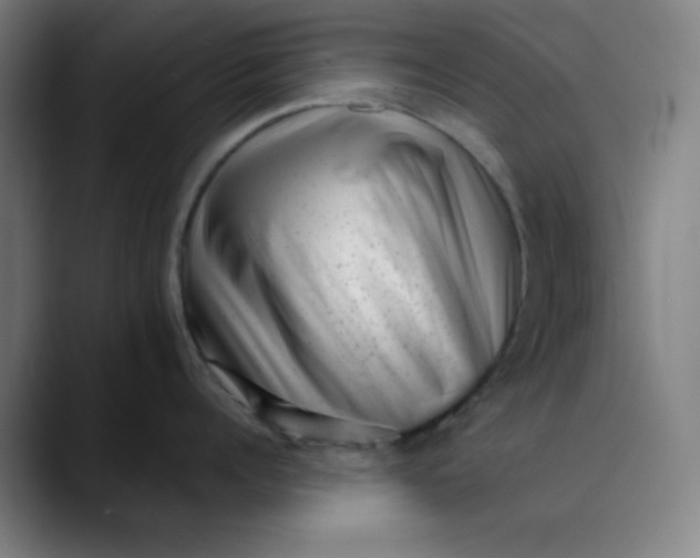 X0000089710960200707121410