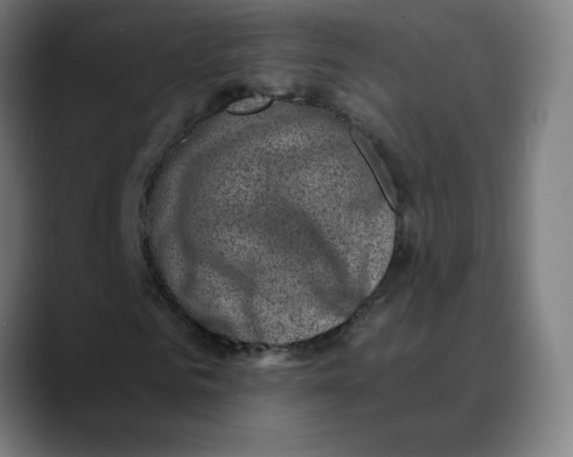 X0000089710961200707121410