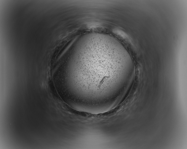 X0000089710965200707121410