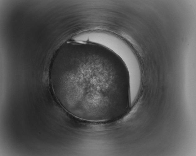 X0000089710977200707121410