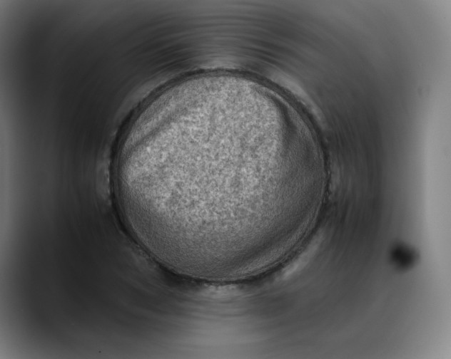 X0000089710978200707121410