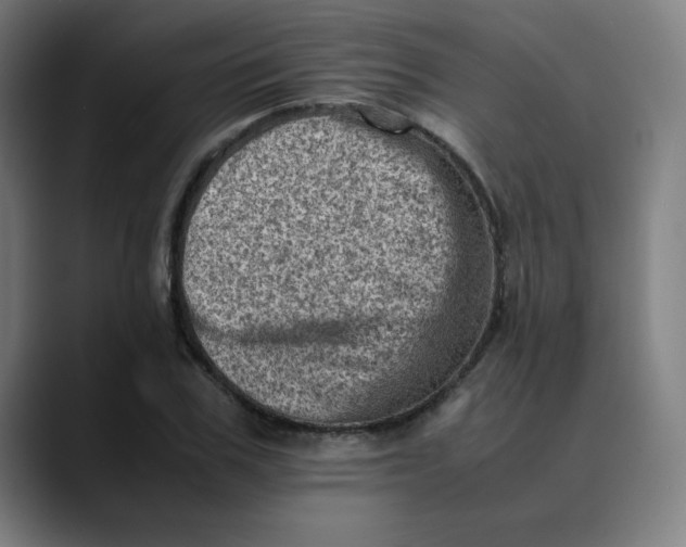 X0000089710979200707121410